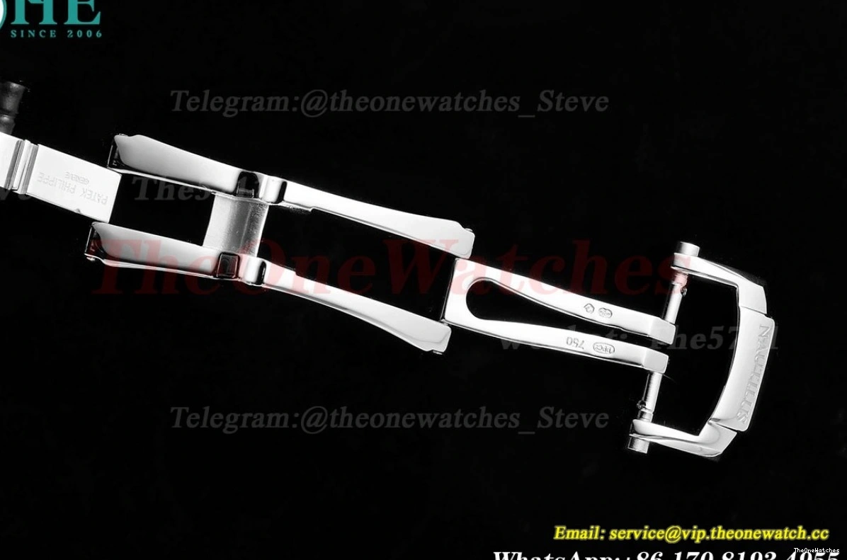 Stk PPF LE 40mm SS Super A240 5712 Blue Clone Nautilus 0418